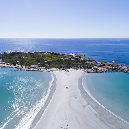 Diamond Island Resort, Restaurant & Bar And Penguin Show Bicheno Esterno foto