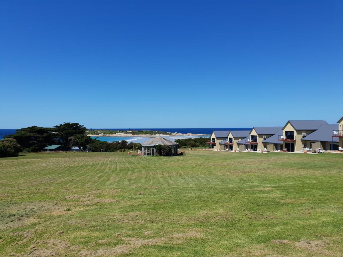 Diamond Island Resort, Restaurant & Bar And Penguin Show Bicheno Esterno foto